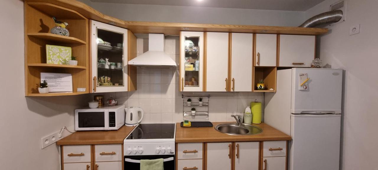 Santariskes Apartment ヴィリニュス エクステリア 写真